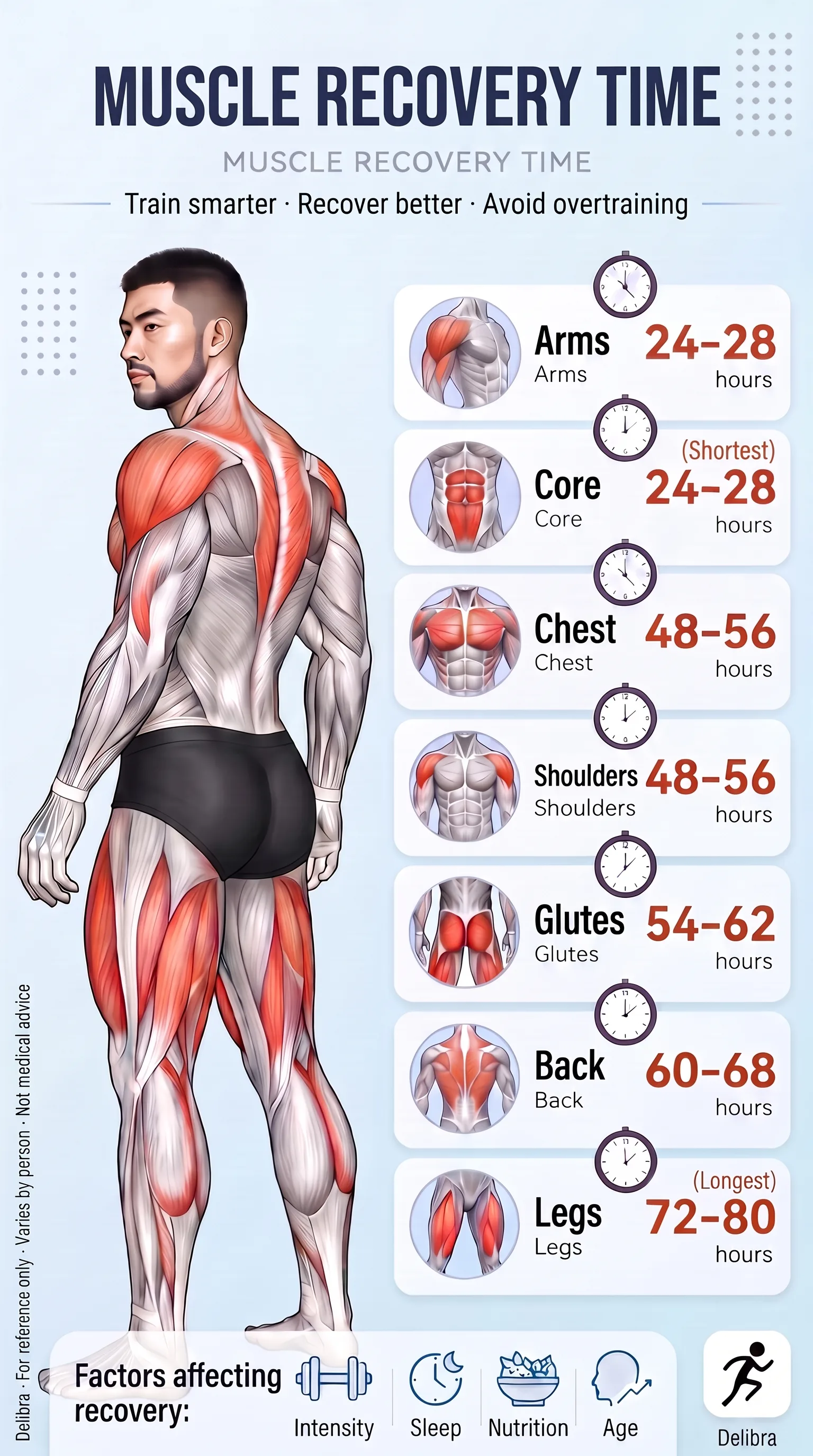 Delibra muscle recovery time chart by body region